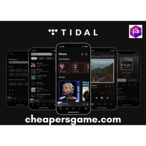 TidalHifi Plus Premium Individual Plan Upto 12 months