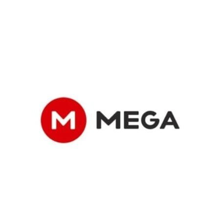 Mega Upto 8 TB Storage Plan Pro Yearly