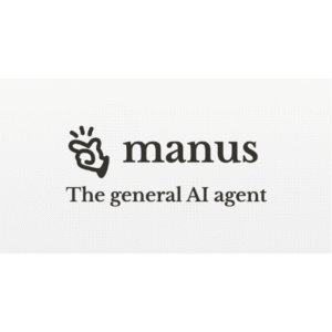 Manus Pro 1 Year Access your mail private